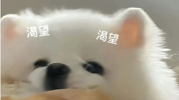 萌新第一次当屠夫麻童（视频发不出来呜呜，那就只能看看结算了）