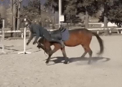 【可能有剧透】剧情真是不吐不快截图