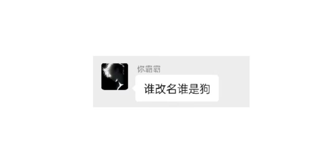 不准打我们! 6