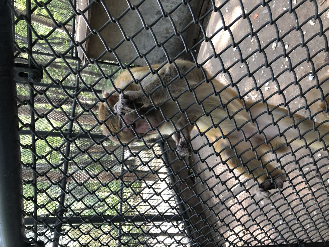 被系统耍猴了 1