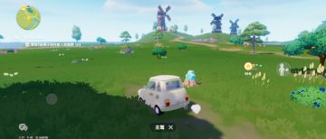 7月30日萤石和溜溜木位置