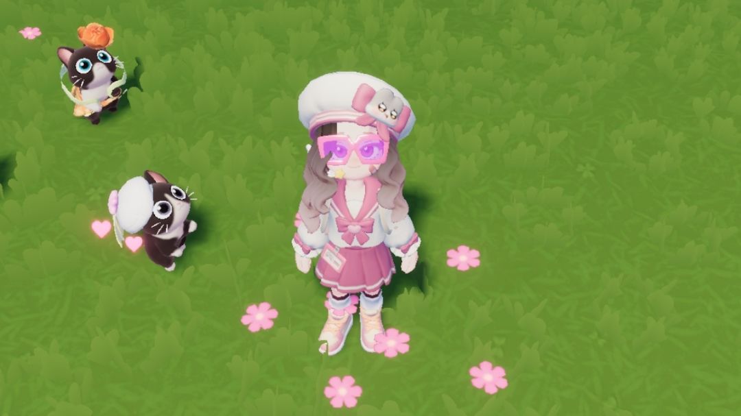 疑似女明星 3