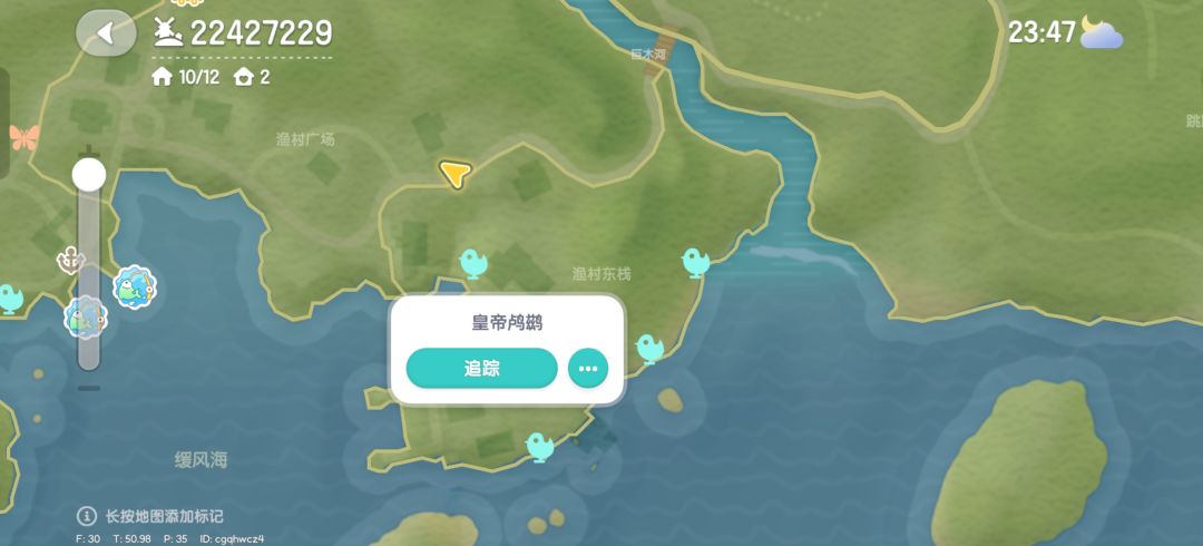 皇帝鸬鹚腹部白色 3