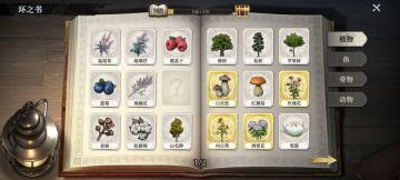 四格盆栽种植技巧