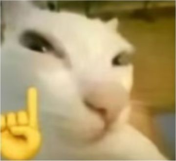 @阿戴尔关于资源获取有一些想法