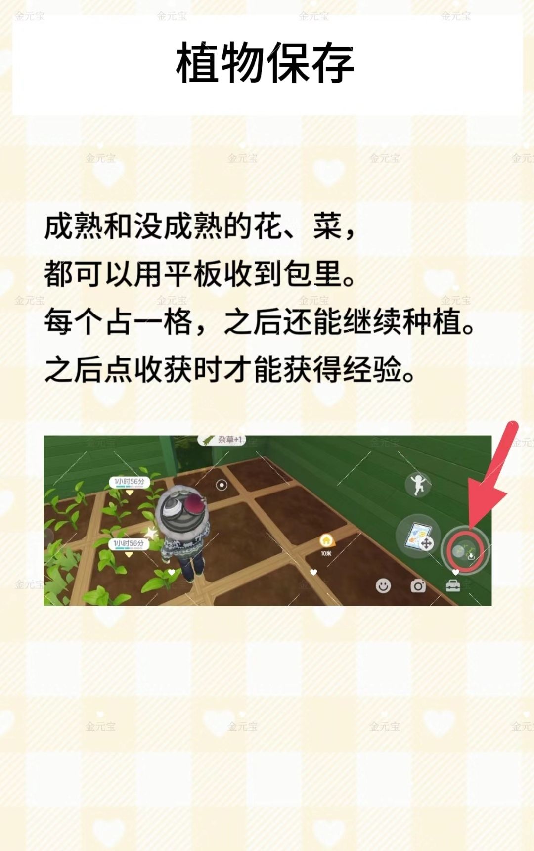 心动小镇1-12级园艺攻略入坑到入土 3