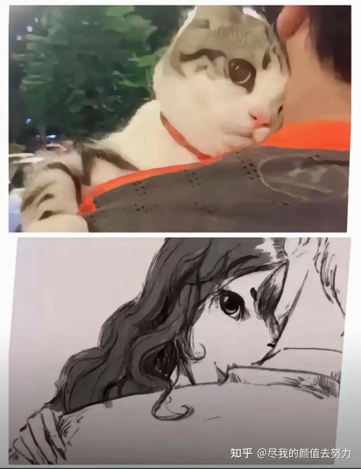 伊瑟下个赛季啥时候开始？截图