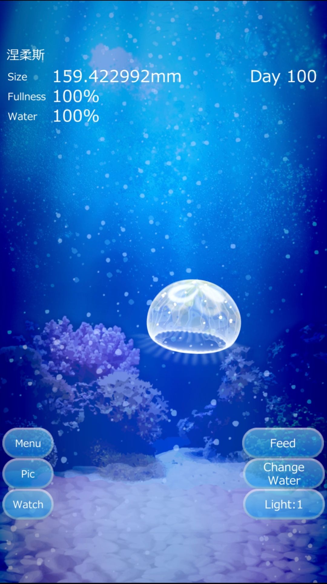 重养水母第四弹 1