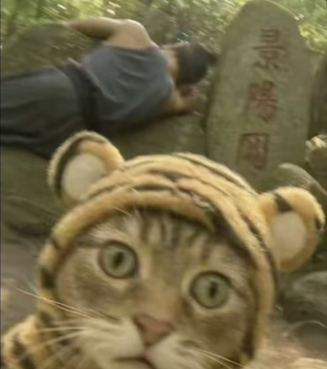 预言家的感觉哈哈哈 2