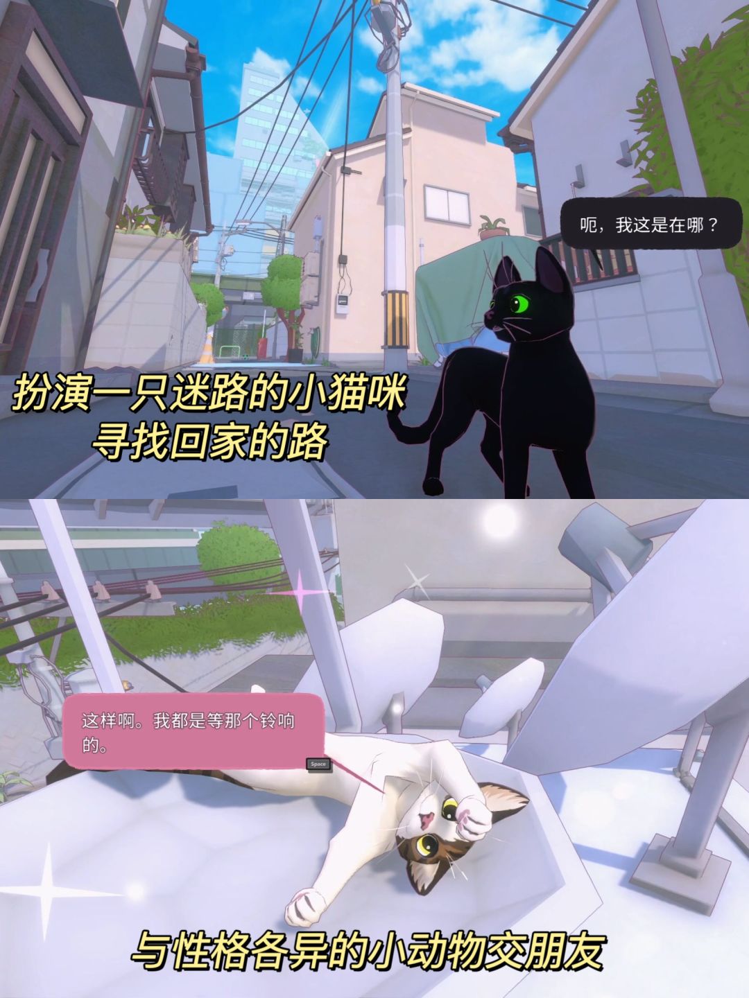 救命!我发现了一个可以做猫的游戏! 2