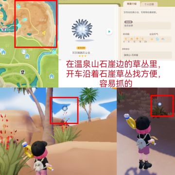 灰尘虫跟奇灵鱼抓捕攻略