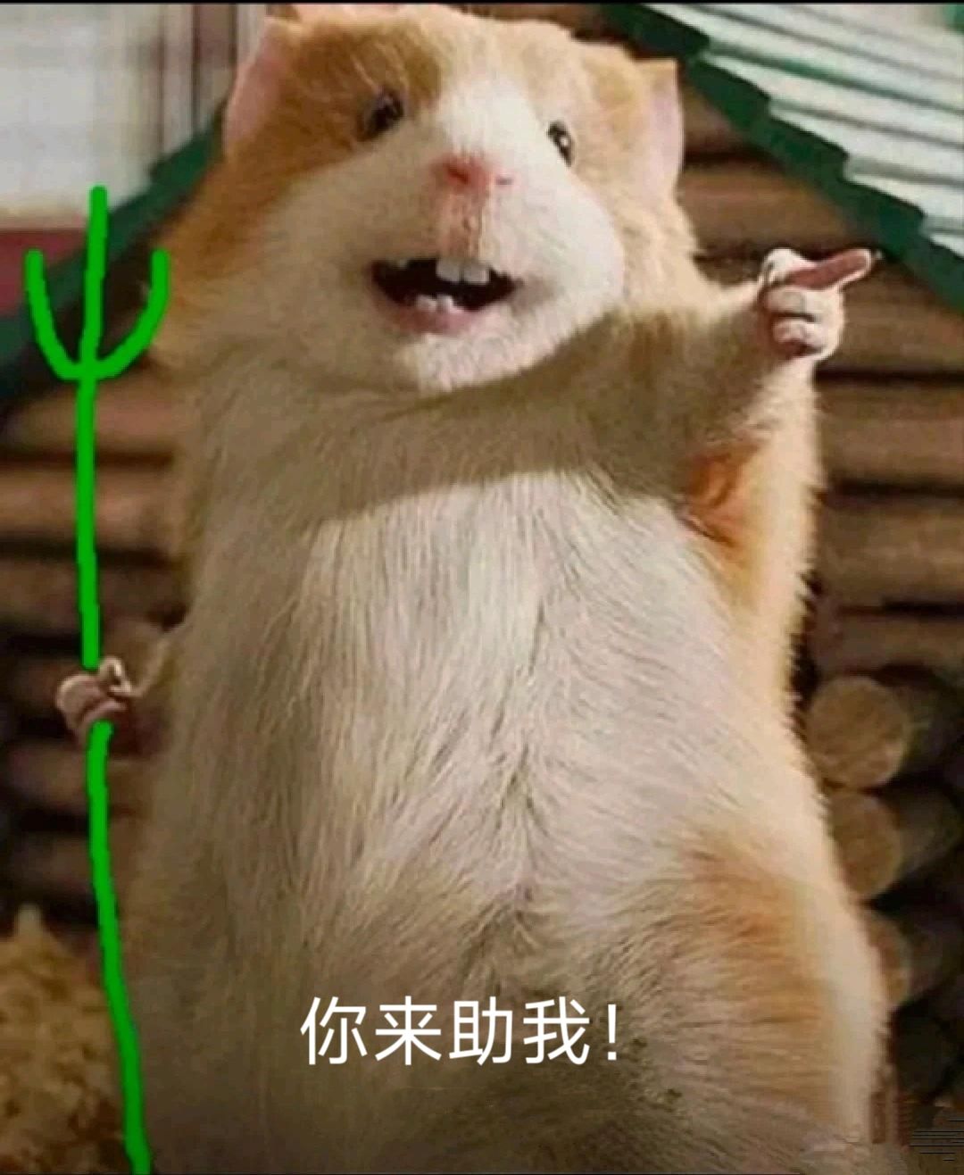 各位佬,票的主要来源有哪些啊 1