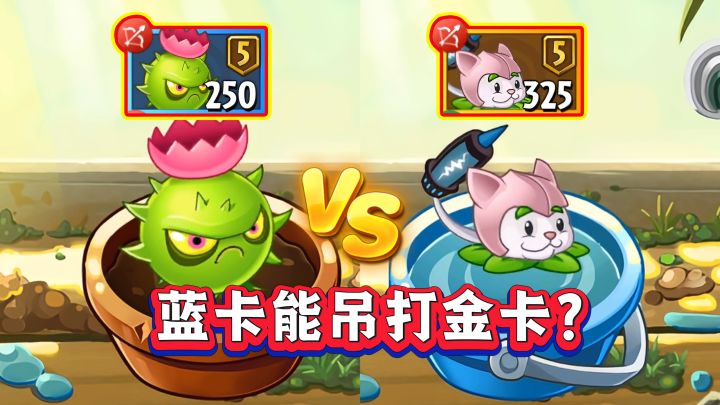 导向蓟VS猫尾草,蓝卡能吊打金卡?截图