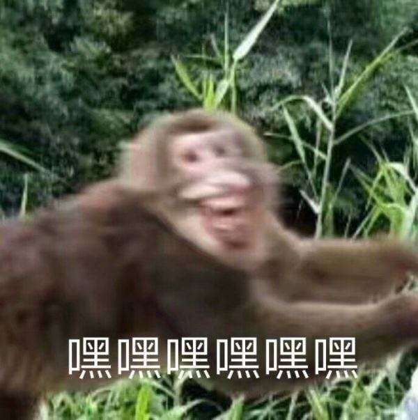 游戏不能和其他APP一起运行，在后台运行也不行，赶紧改改，我还听书呢[表情_狗头][表情_狗头][表情_狗头]截图