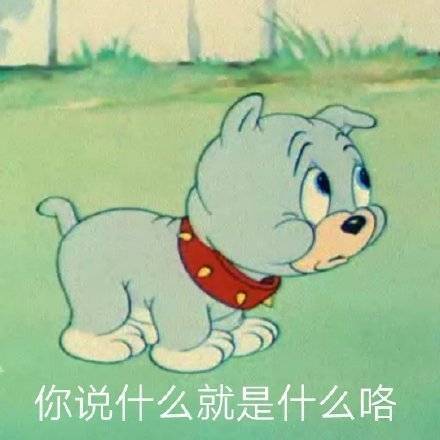 动态图片 4