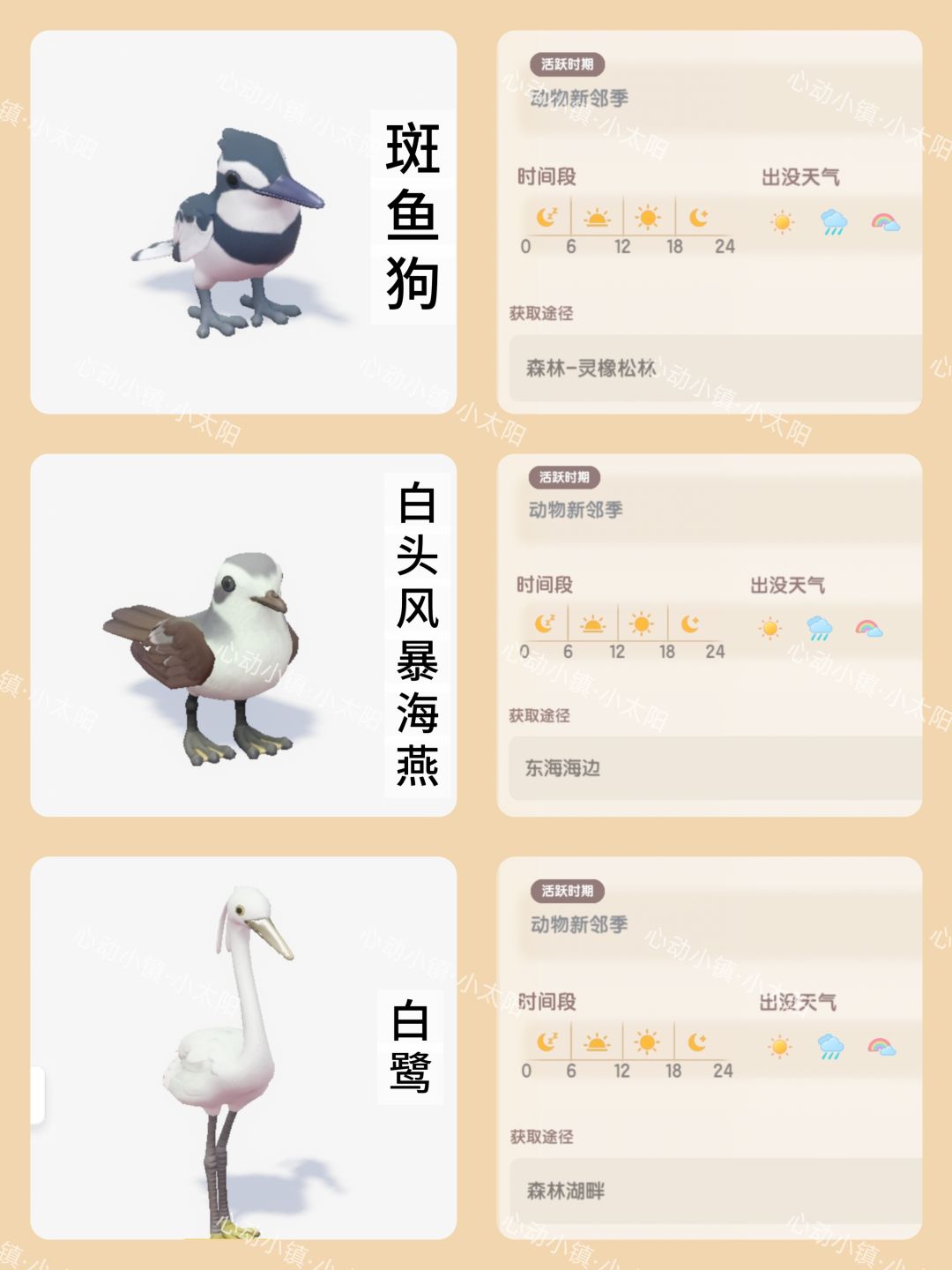 心动小镇·动物新邻季·潮流鸟类和虫类位置 2