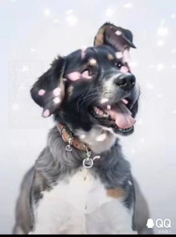 三刀领悟前后 且 身法臂力数值