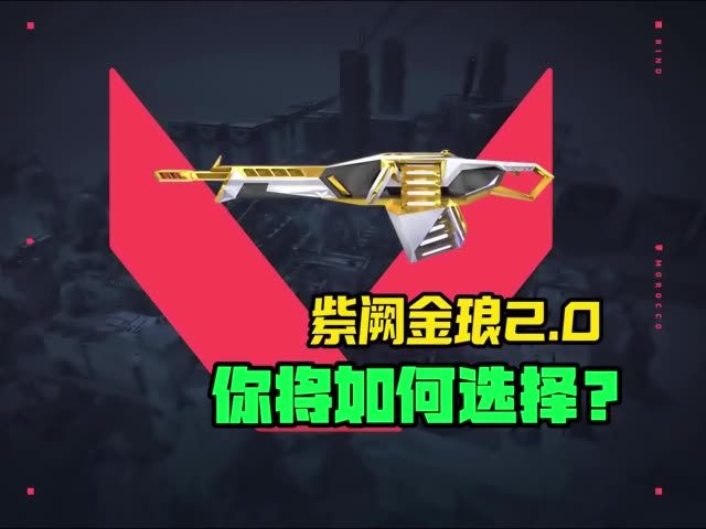 video-5505369