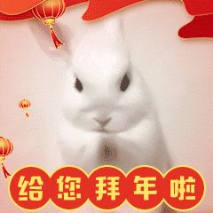 大展宏“兔”《画狐》项目组祝大家开年大吉！截图