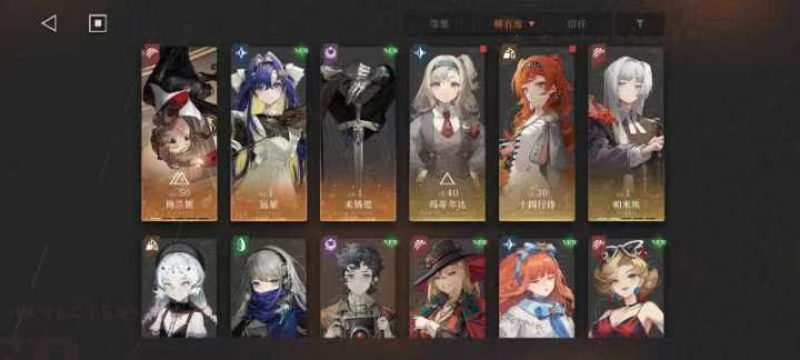 大佬们 我这个阵容怎么配队呀要截图