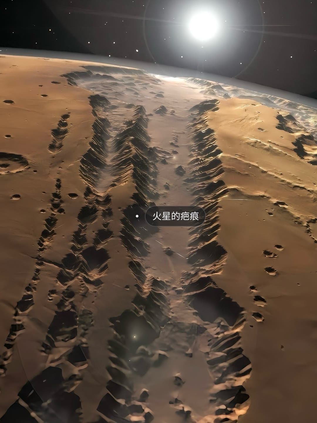 “上帝视角” 13