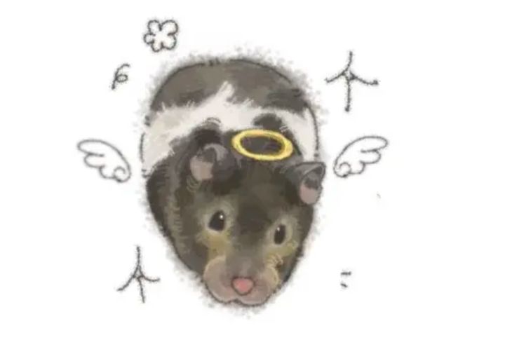 【邦妮】【魔术师x法师】新火法千域攻略截图