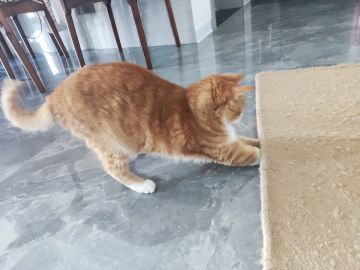 再见，愿我们有机遇再相见