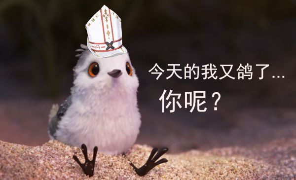 确实是最后一舞了 2