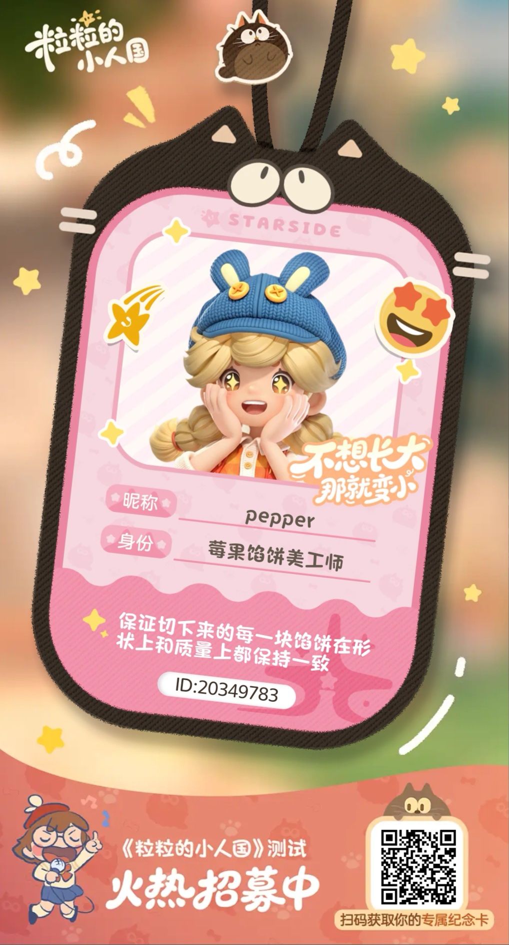 正式申请 1