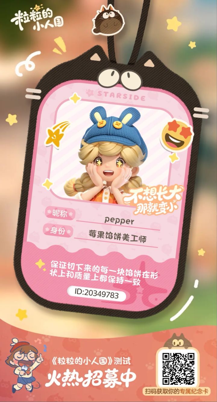 正式申请截图