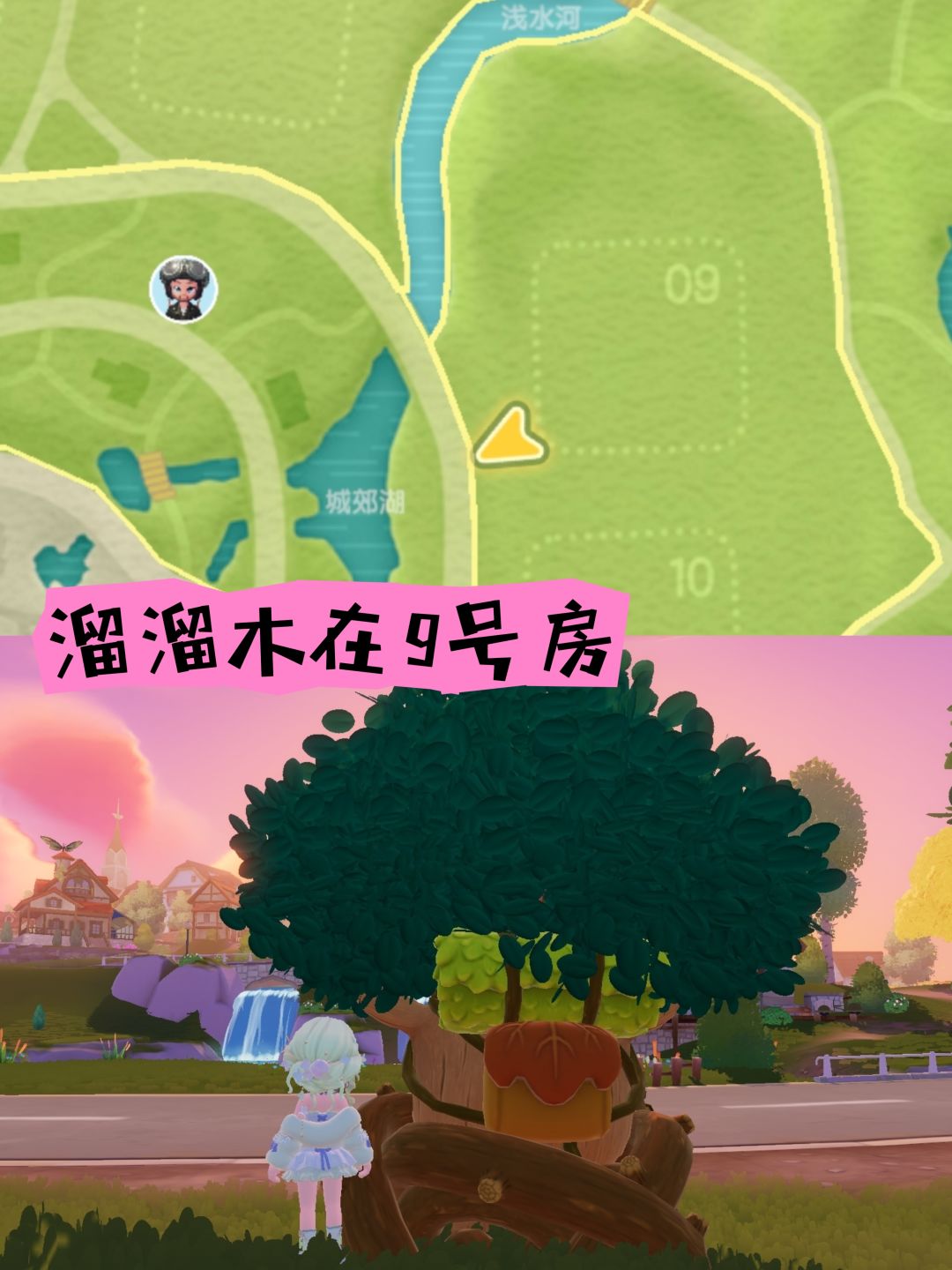动态图片 4