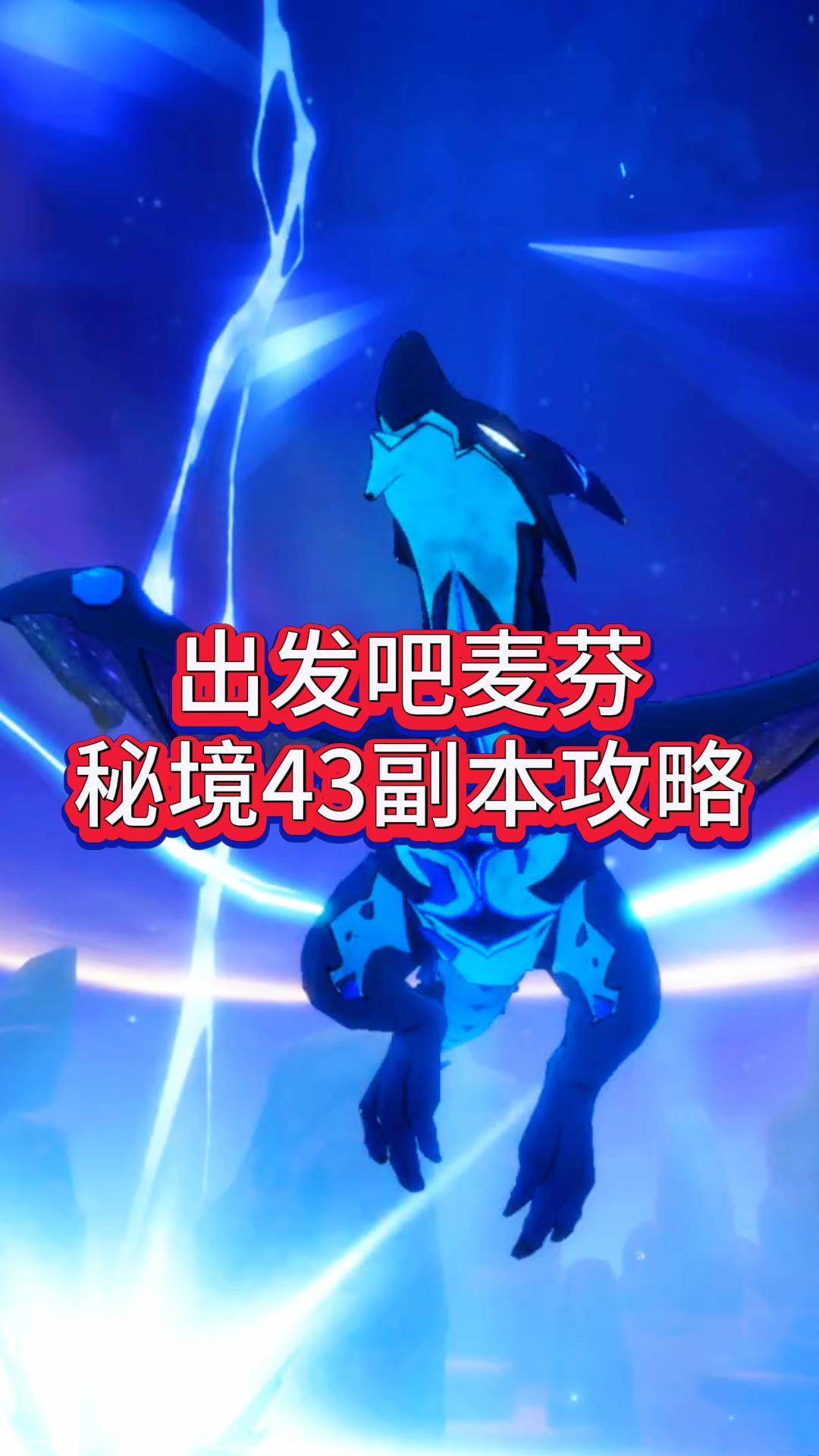 video-4960449