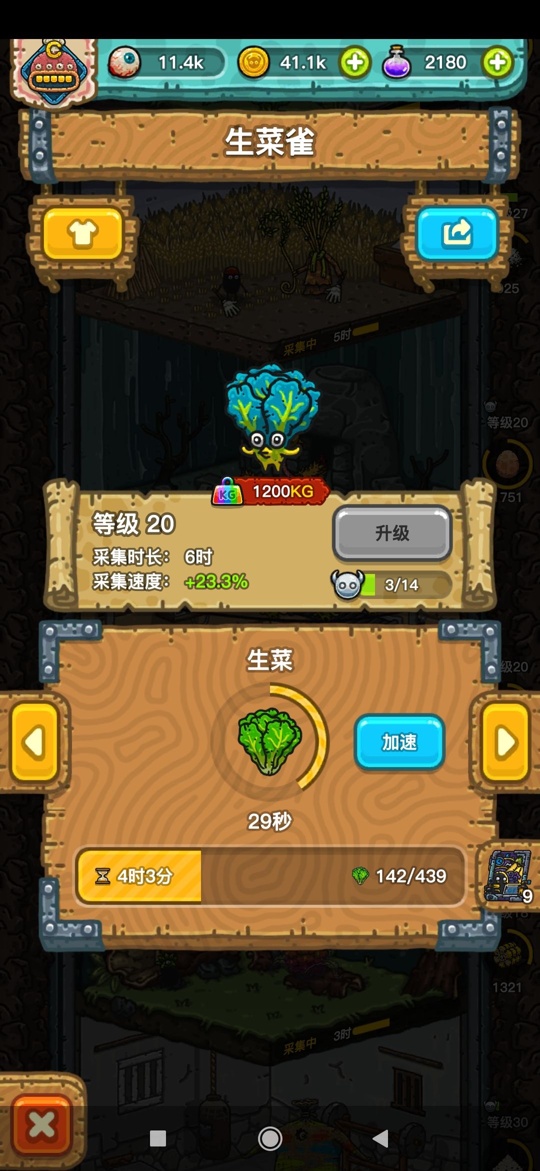 双彩1200kg 2