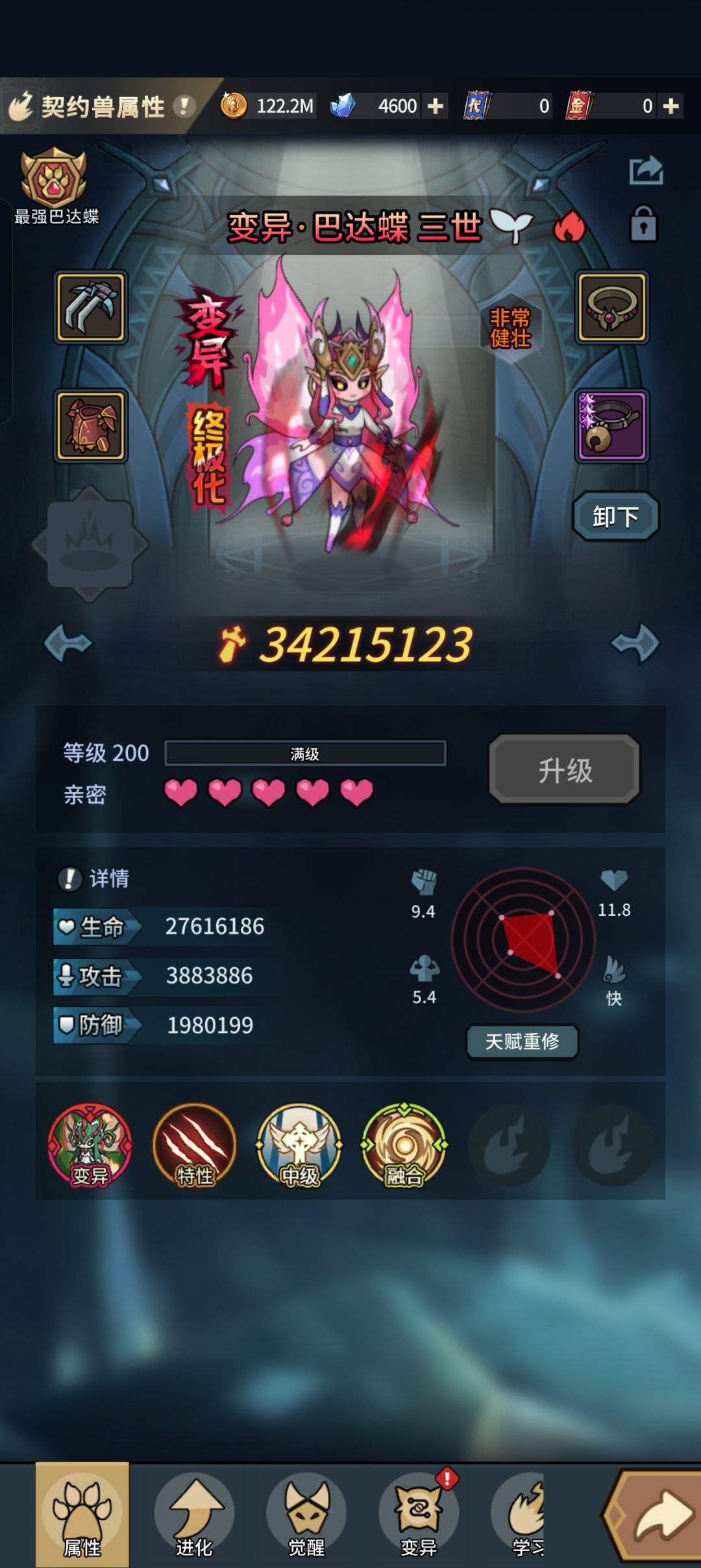 龙海宠物选择 2
