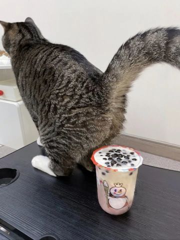 赛季玩法~~轮换迫在眉睫！