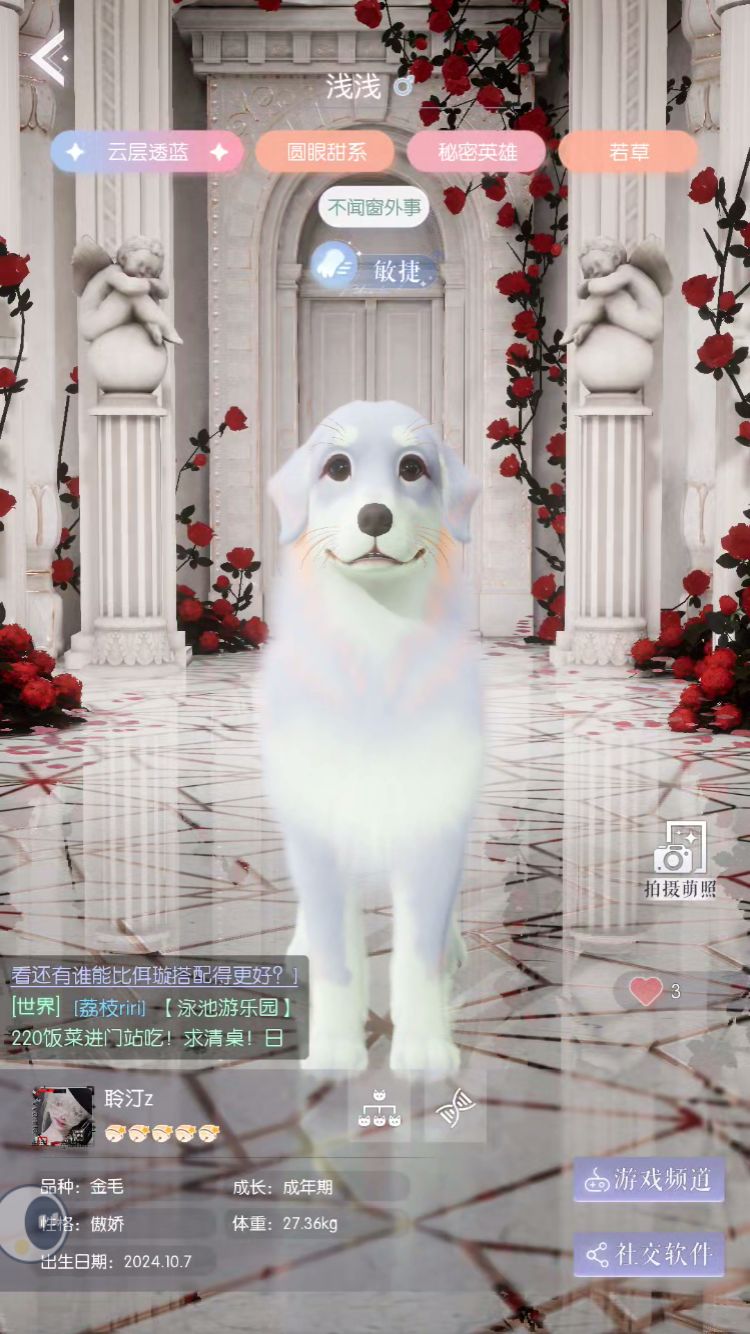 动态图片 7