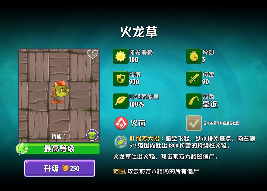 火龙草 1