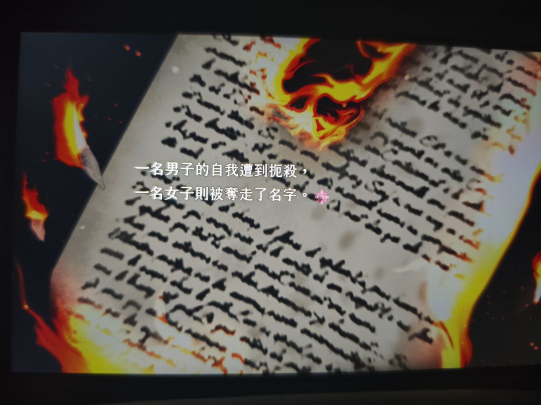怪不得褒贬不一呢 2