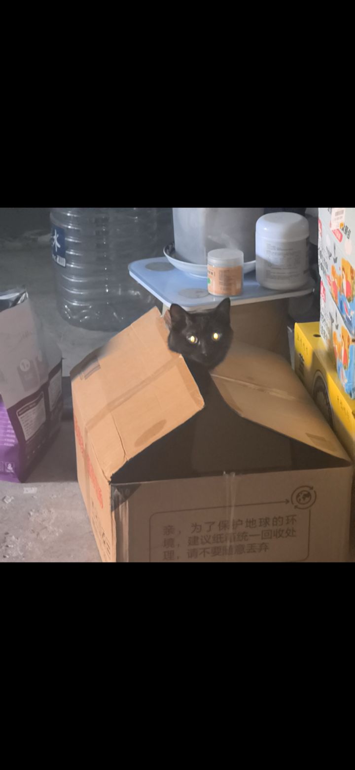 新手引导帖截图