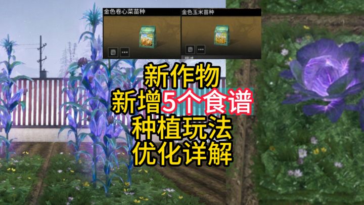 新作物新增5个食谱,种植玩法优化详解。截图