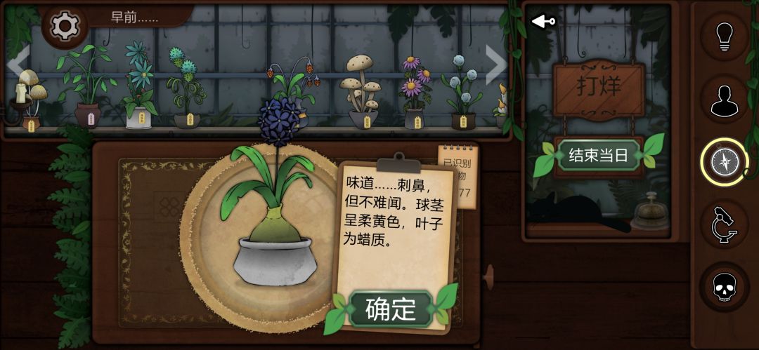 记录一些个人比较喜欢或觉得有意思的植物 13