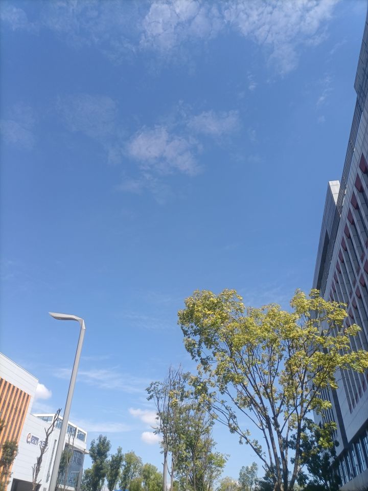 标题标题截图