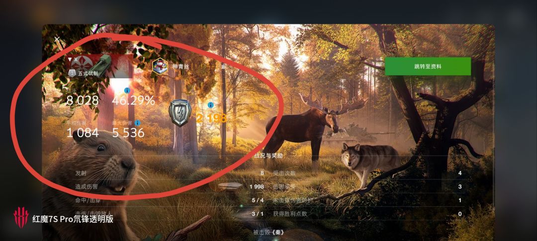 动态图片 10