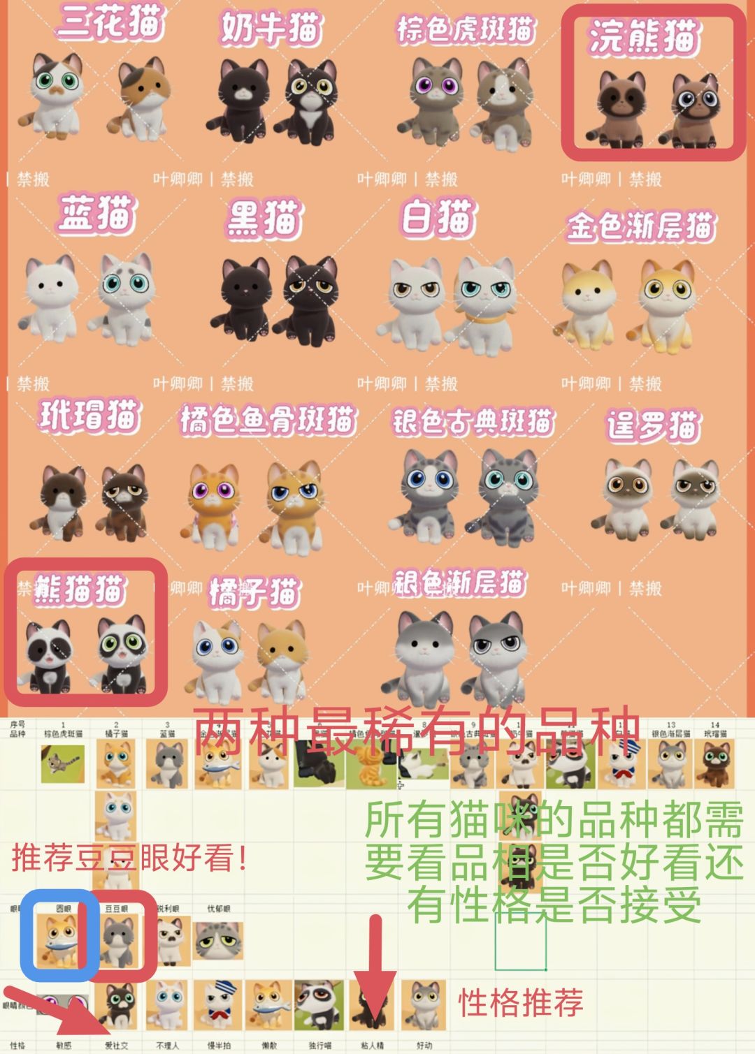 来看看猫咪的品相和性格吧 1