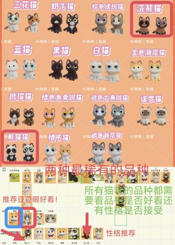 猫咪品相稀有度和性格的攻略推荐笔记