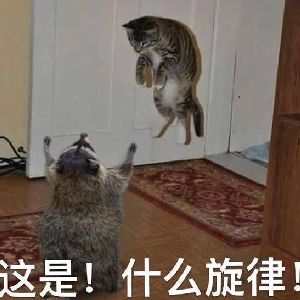 土豆和土豆发射器怎么解锁截图