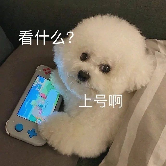 迷糊老师换菲菲公主 1