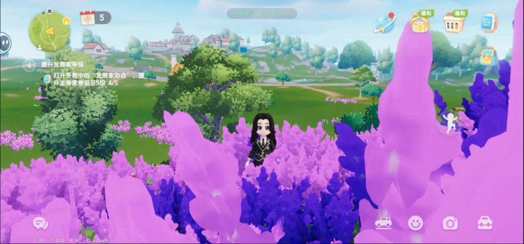 动态图片 3