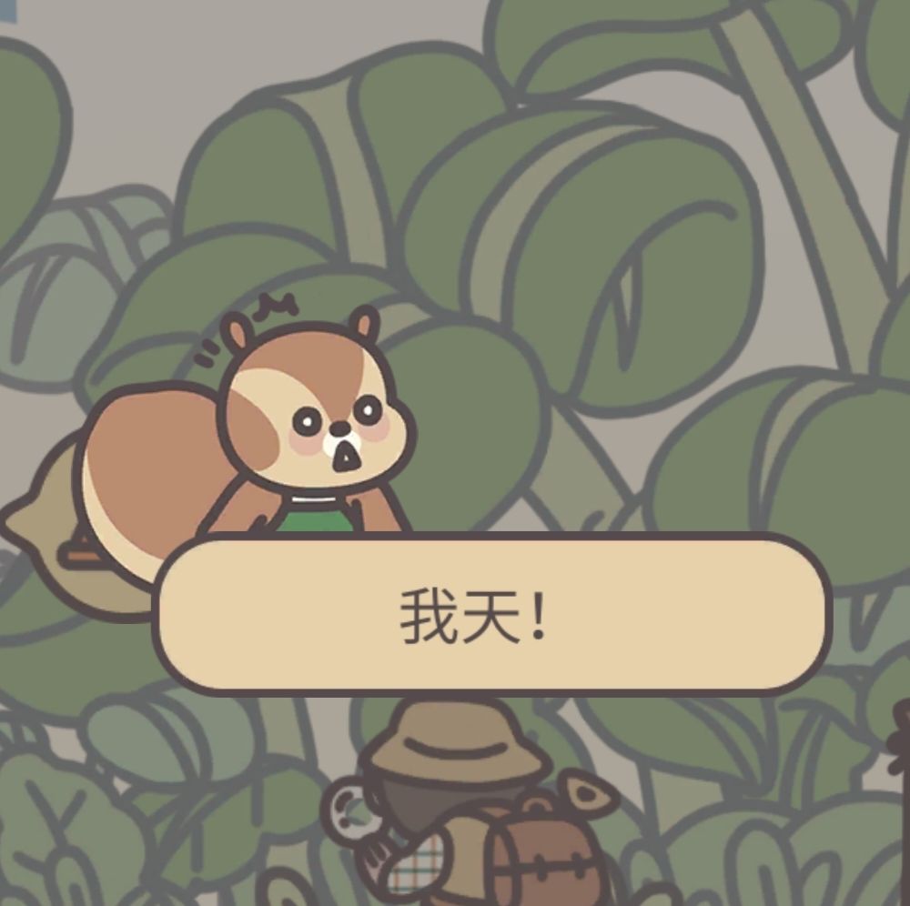 小松就是最可爱的崽！！ 2