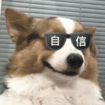 公测倒计时第2天！🎁福利来了！